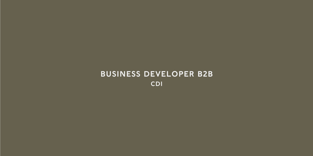 Business Developer B2B - CDI