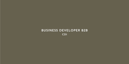 Business Developer B2B - CDI